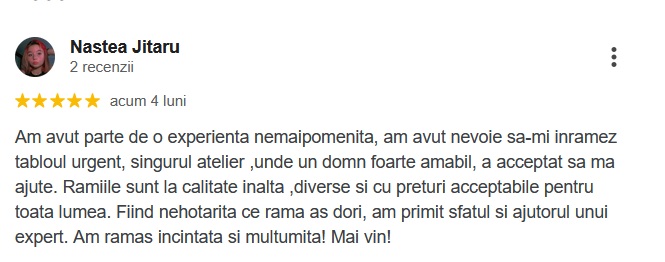 nastea 2